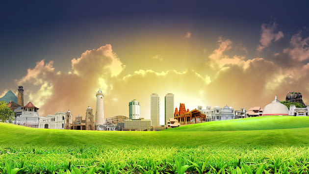 Cover photo