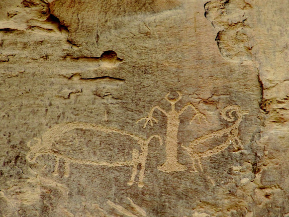 Horned guy with a buffalo and sheep