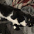 kevin henry avatar image