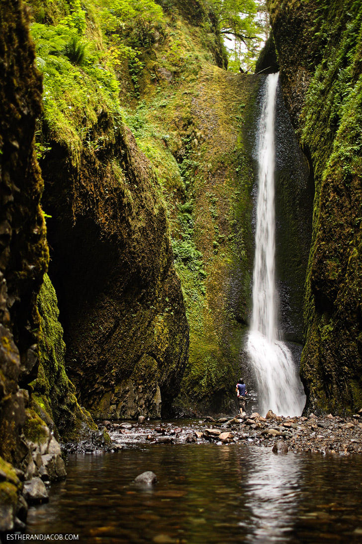 Lower Oneonta Falls Hike // Places to Hike in Oregon.