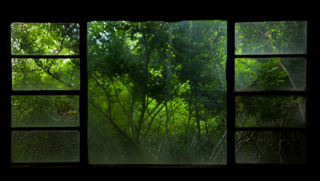 Cover photo