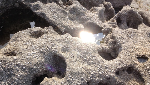 Cover photo