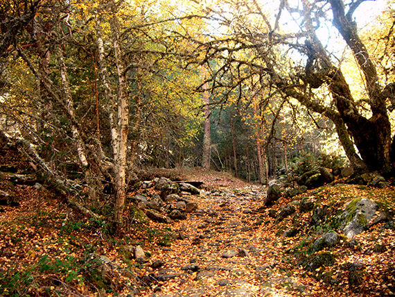 Un paseo por el valle del Lozoya. Sábado 2 de noviembre 2013 ¿Te apuntas?