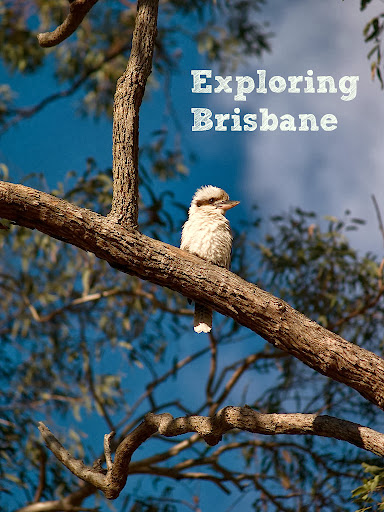Exploring Brisbane