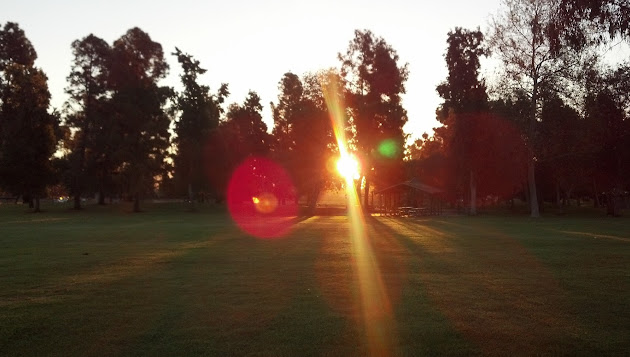 Cover photo