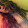 claudia pritchard claudia pritchard's profile photo