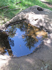 Paseo del Lobo Section 42 (Photo by E. Nelson)