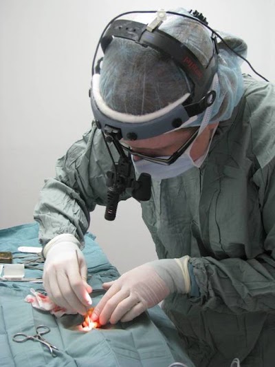 veterinary-care
