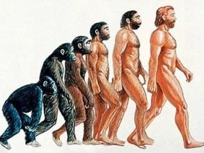 EVOLUÇÃO DAS ESPÉCIES - HOMO SAPIENS SAPIENS > Artigos > Ascontran