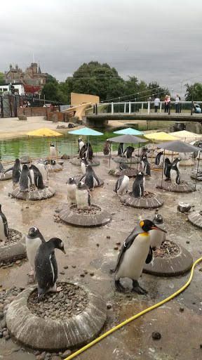 Edinburgh Zoo
