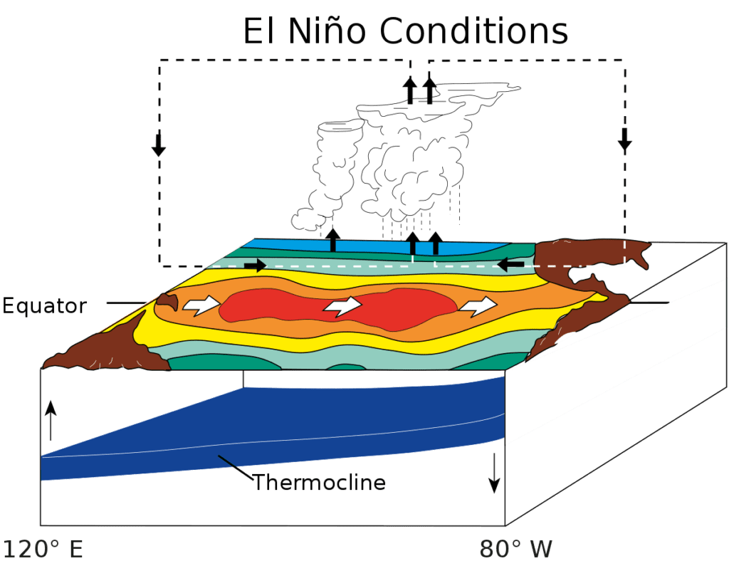 El Nino Circulation
