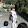 Diego quemasda Diego quemasda's profile photo