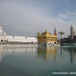 Photo de la galerie "Amritsar, son temple d