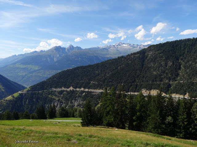 Passeando pela Suíça - 2012 - Página 10 DSC02590