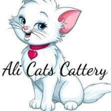 Ali Cats Cattery logo