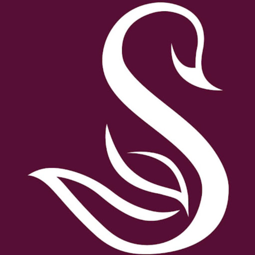 Swan Skin & Body Solutions logo