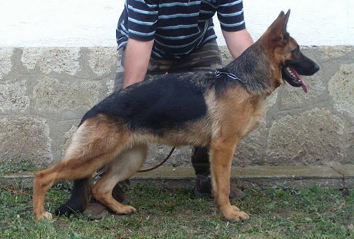 SDC15594.JPG