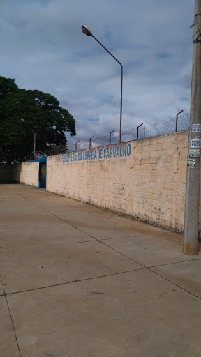 Escola Doutor Geraldo Correia de Carvalho, R. Itaguaçu, 869 - Ipiranga, Ribeirão Preto - SP, 14060-030, Brasil, Escola, estado São Paulo