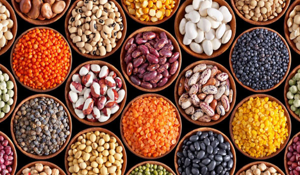 Bumpers Production of Pulses, Imported 10 Million Tons Less