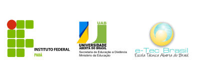 IF PARÁ IFPA educação a distância