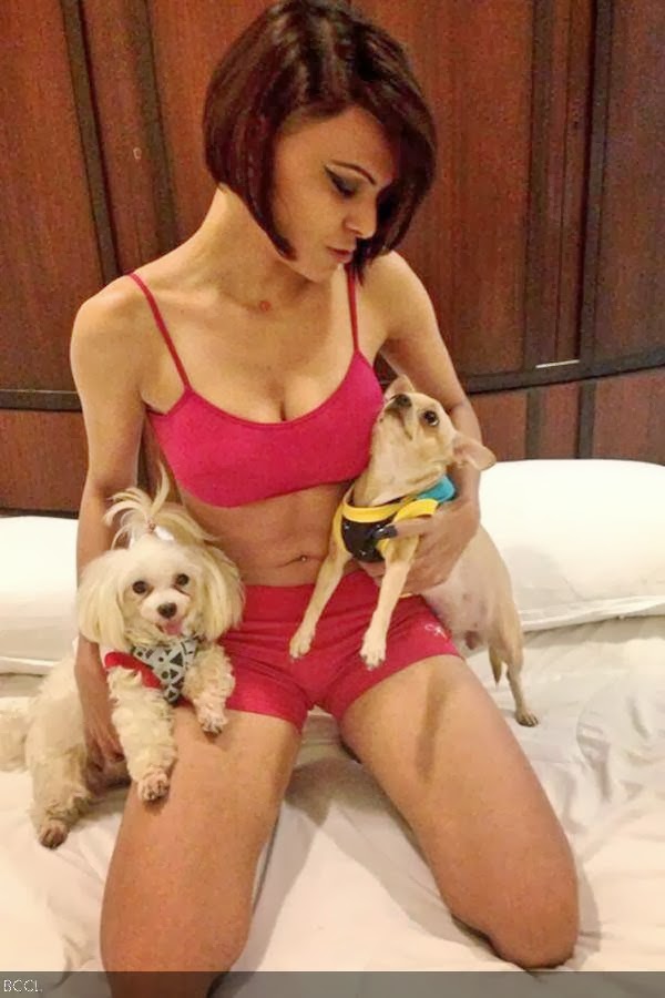 Sherlyn Chopra having a fun time with her pets Doodoo and Bobby. 