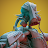 Ivan Gaskell avatar image