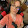Stian French Stian French's profile photo