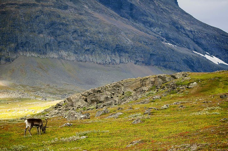 Kungsleden (25 Best Hikes in the World).