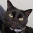 ali j avatar image