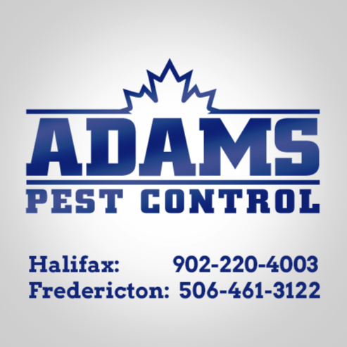Adams Pest Control Fredericton logo