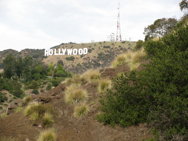 Hollywood sign in the Hollywood hills