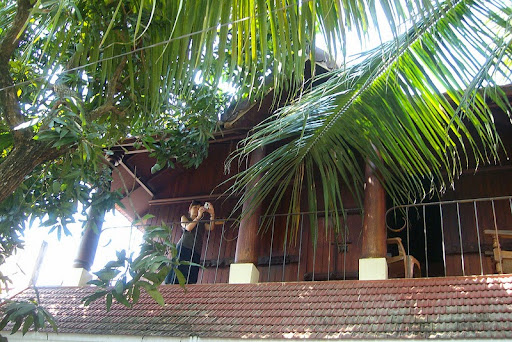 Adams Wood House, Paravana Mukku, Andy Achari Rd, Chullickal, Kochi, Kerala 682002, India, Serviced_Accommodation, state KL