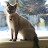 Jack Marden avatar image