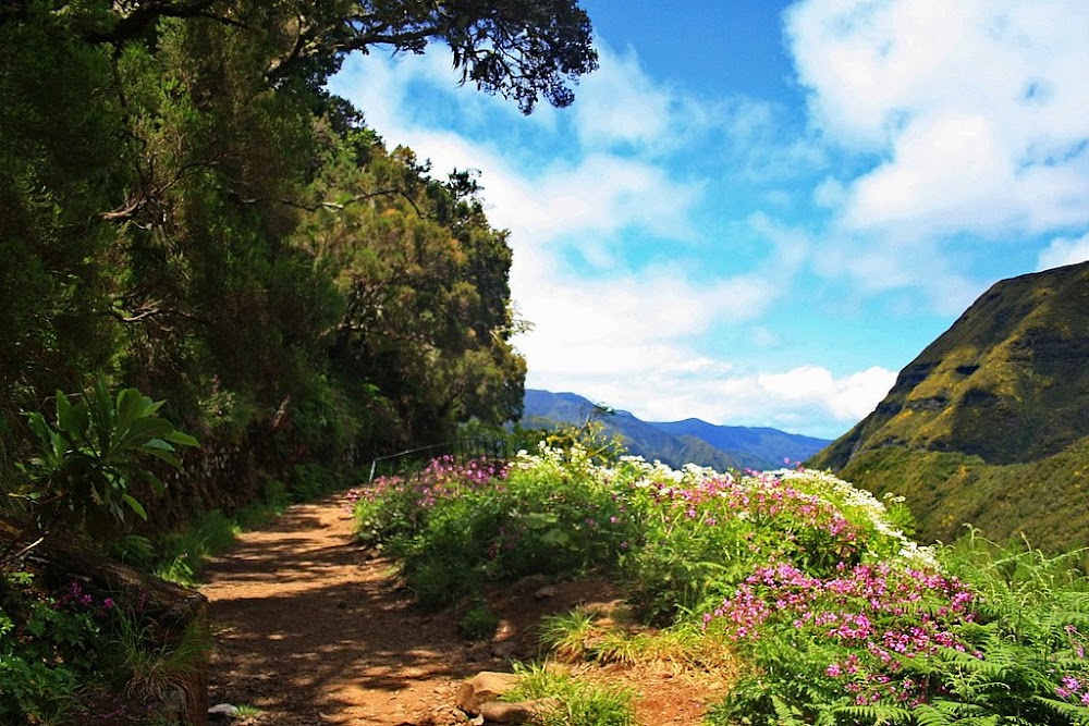 Мадейра левады пешеходные маршруты