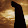 Anthony DeTommasi Anthony DeTommasi's profile photo