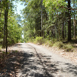 Gently uphill trail near Richley Reserve (401770)