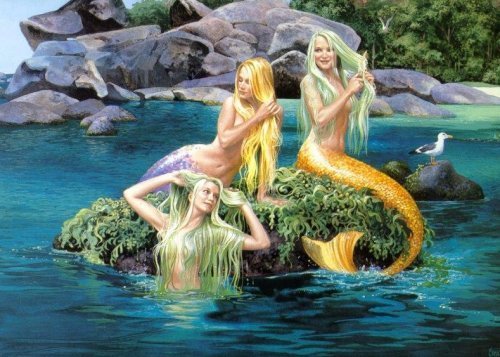 رمز الخلود و الموت Mermaids