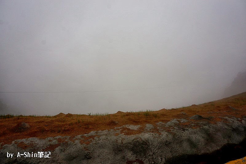 台24線生態漫步|雲霧繚繞台24線，漫步在這裡不輕鬆，霧大外，還得小心落石...