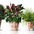 Amazing flower pots Design by Good Studio : The Facepot