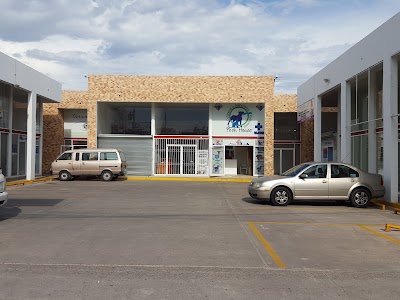 Photos of Peek House Veterinaria y Est&eacute;tica Canina