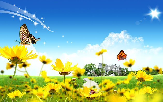 Cover photo