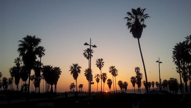 Cover photo