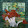 Lisa Foulkes-Arnold Lisa Foulkes-Arnold's profile photo