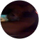 avi1982