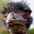 Dave Grubwieser avatar image