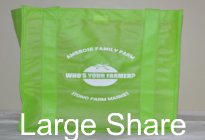 Photo of the share - Large Share-Lime Green*