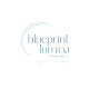 Blueprint Lumina Consulting LLC