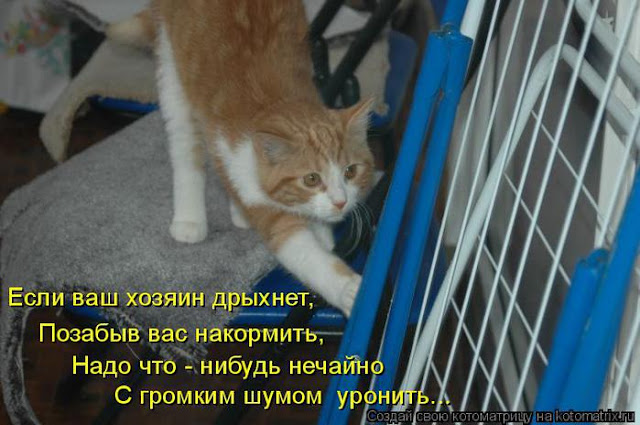 Ни дня без улыбки. Здоровый пессимизм... Ни дня без улыбки. Здоровый пессимизм...