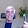 Mike Fearn Mike Fearn's profile photo