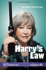 Harrys Law 2x09 Sub Español Online